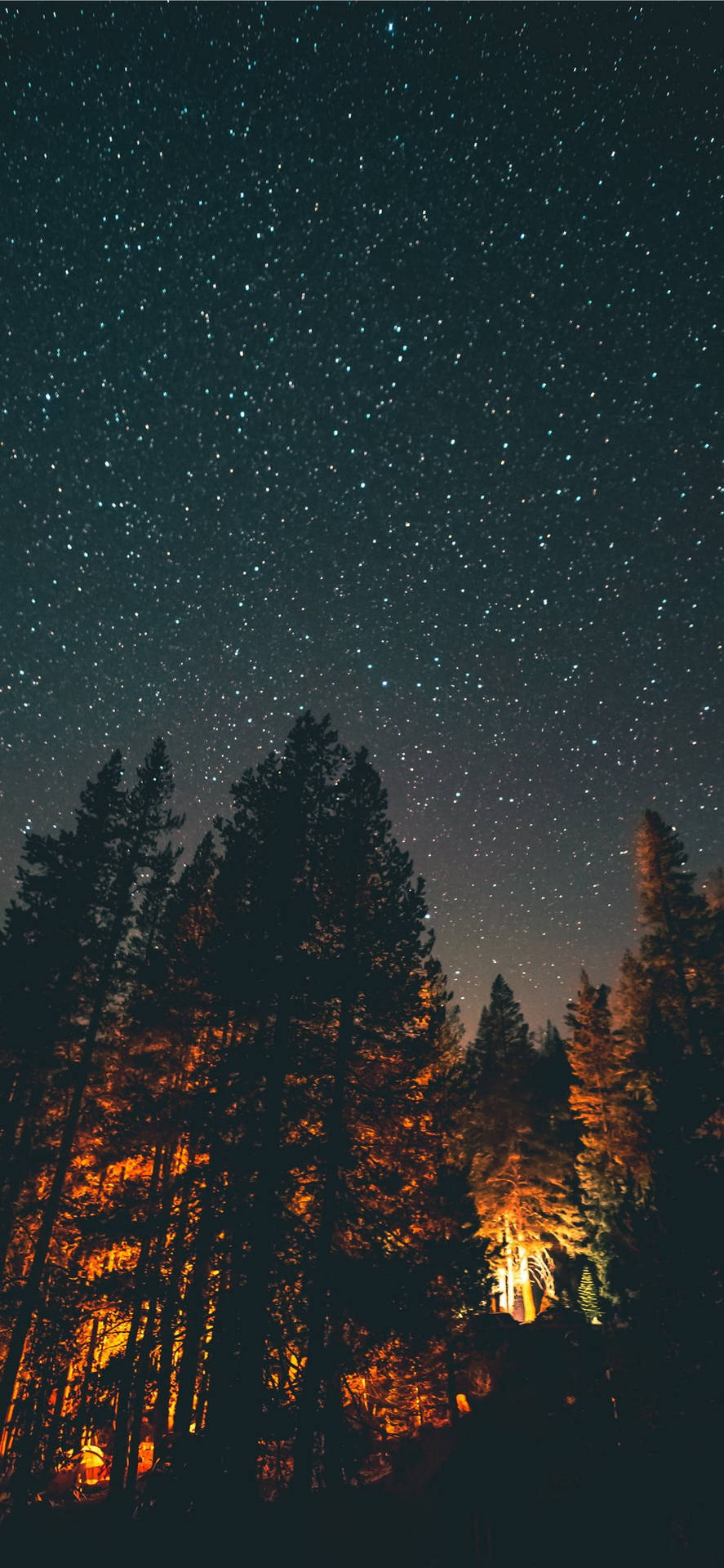 Starry Night Wallpaper