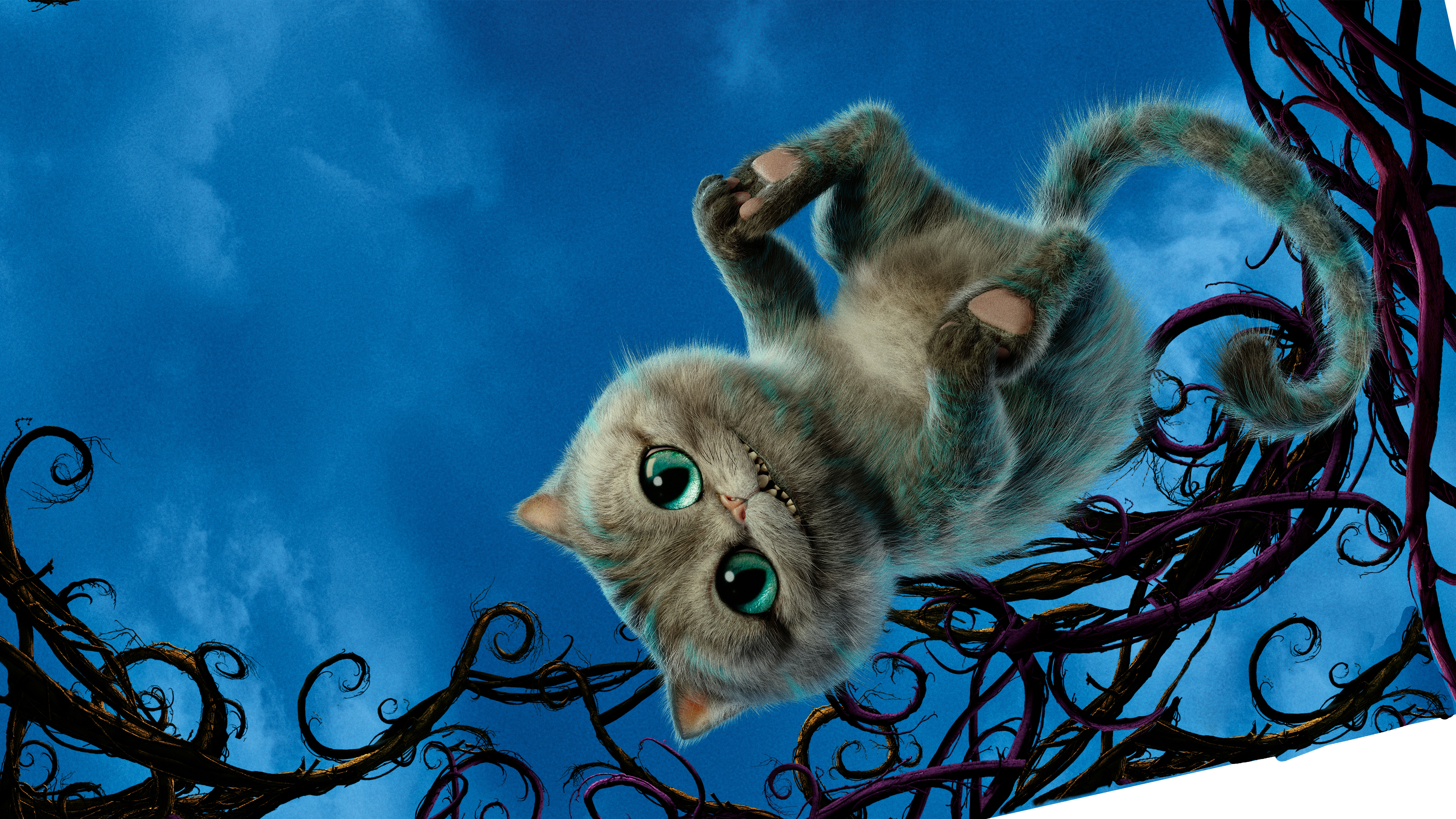 Cheshire Cat Alice Through The Looking Glass Wallpaper In Jpg