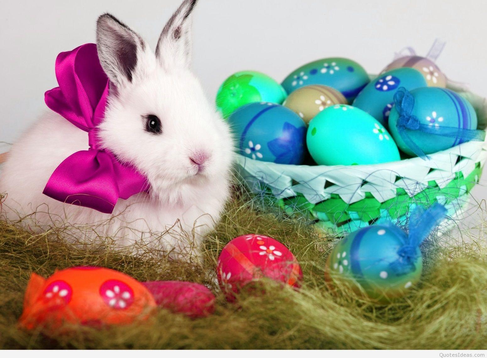 Happy Easter Bunny Wallpaper And Quotes