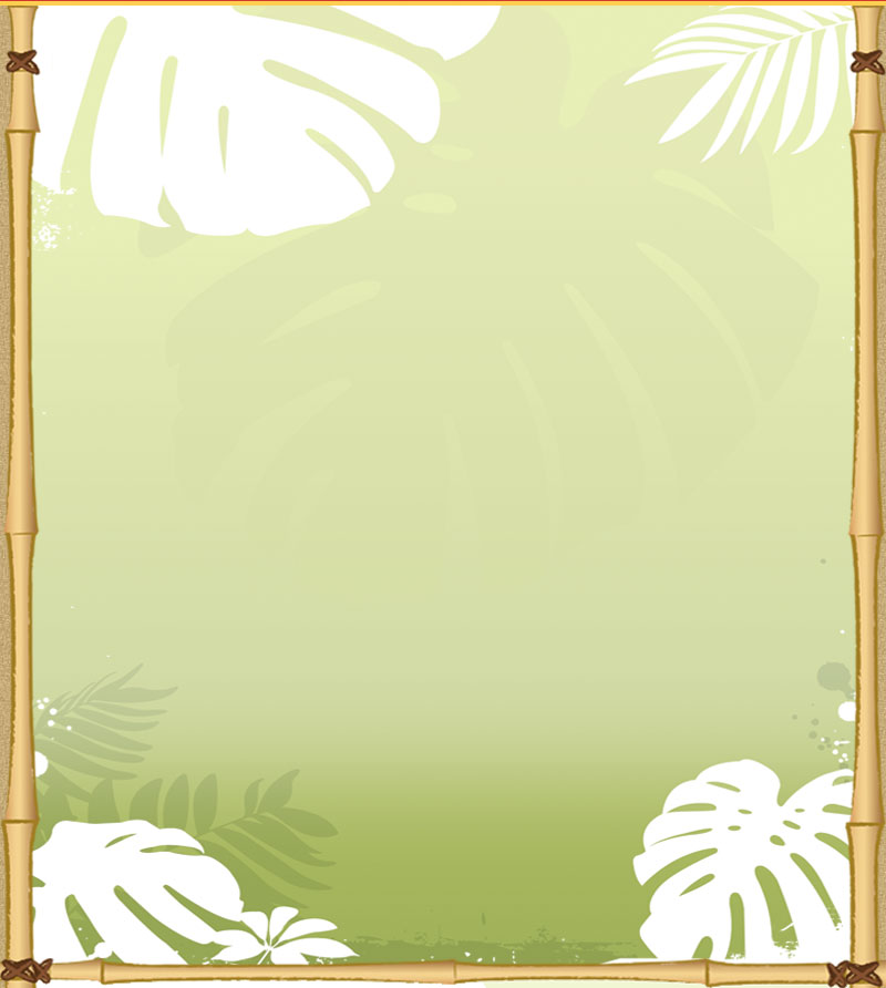 Hawaiian Luau Background