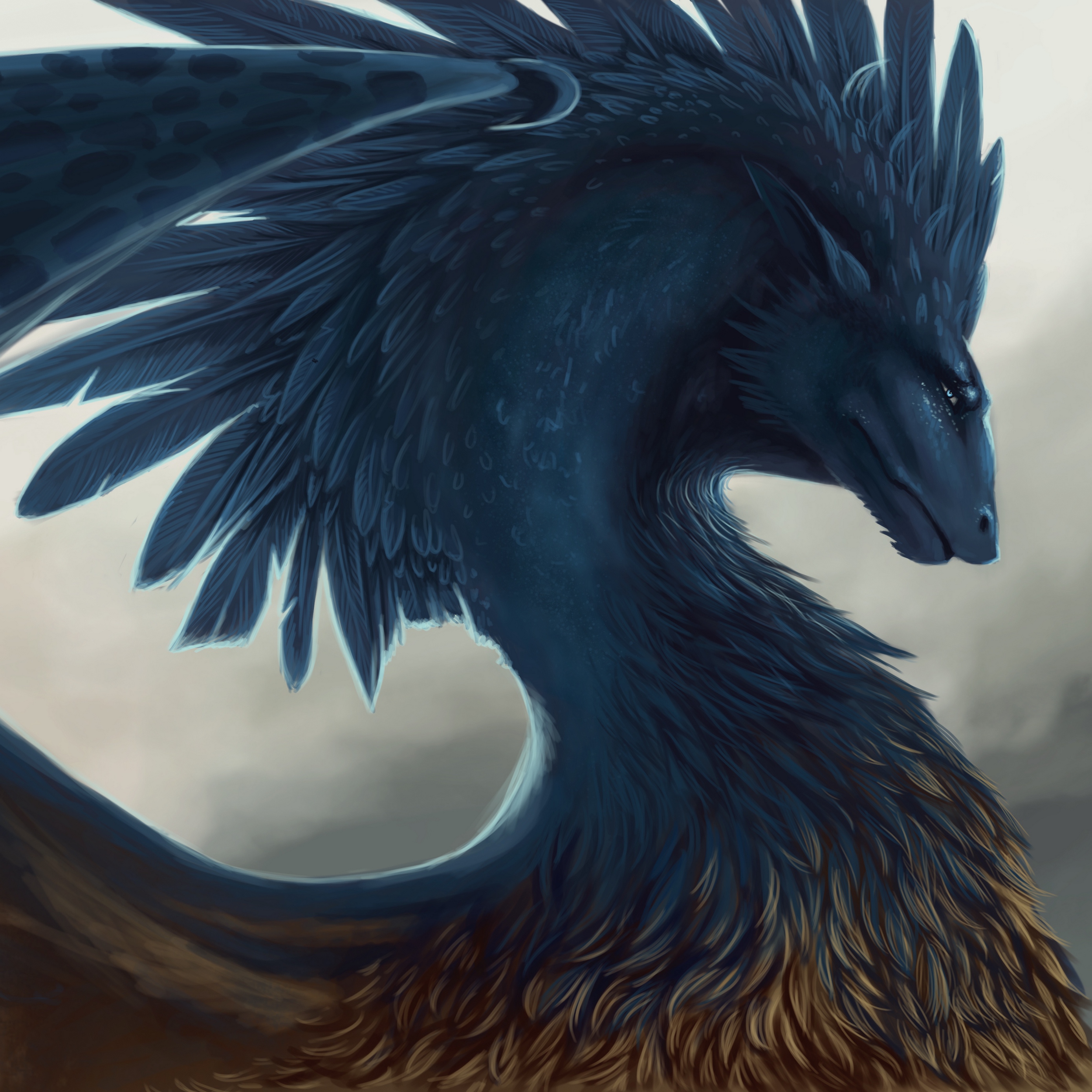 Wallpaper Dragon Fantasy Art Feathers iPad