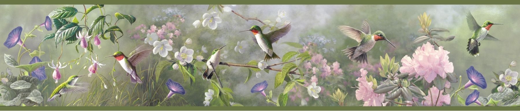 Hummingbird Wallpaper Border Grasscloth