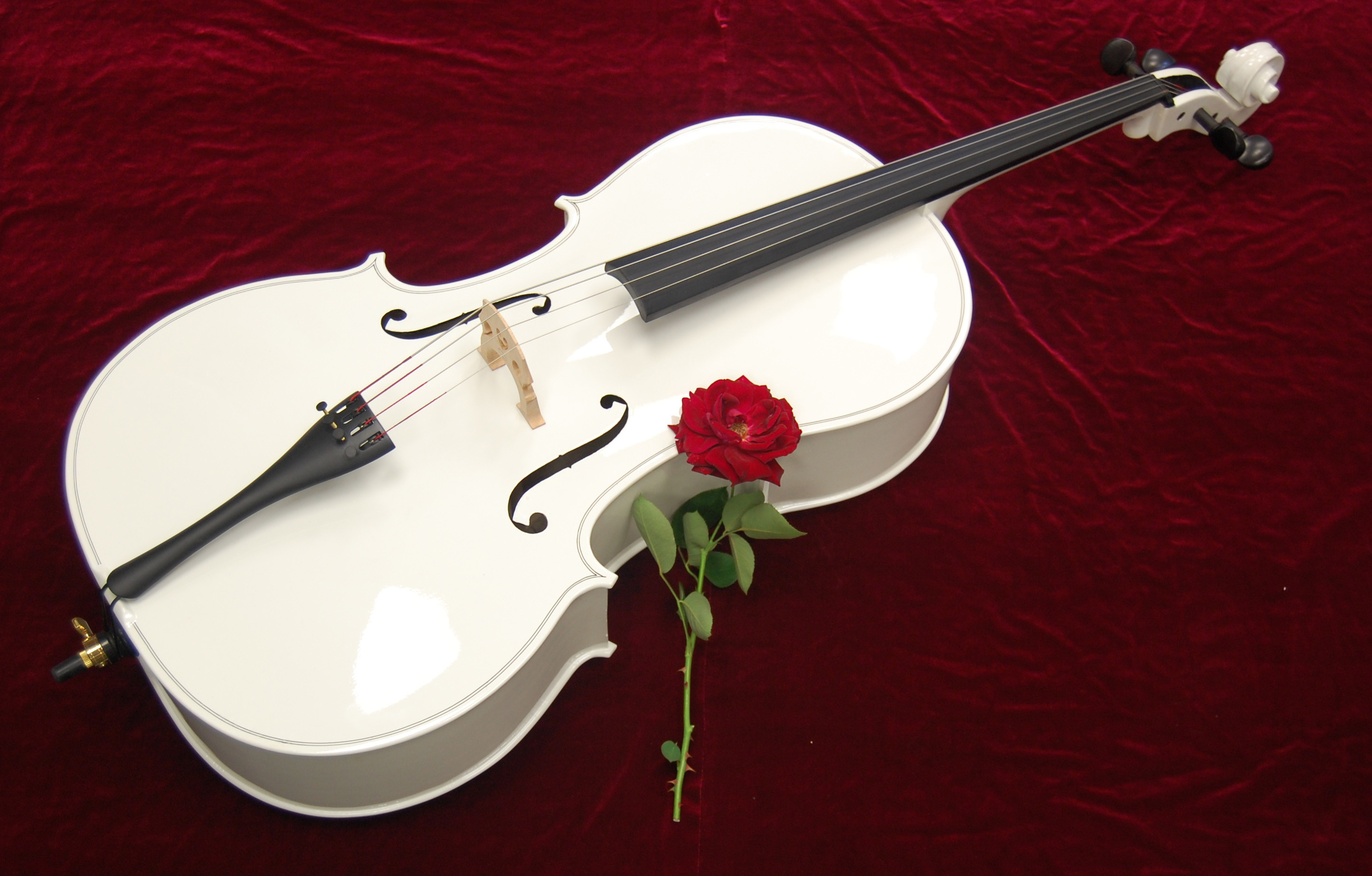 Cello Instruments Philharmonic Wallpaper Musics