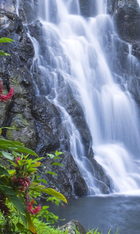 Waterfall HD Live Wallpaper For Android