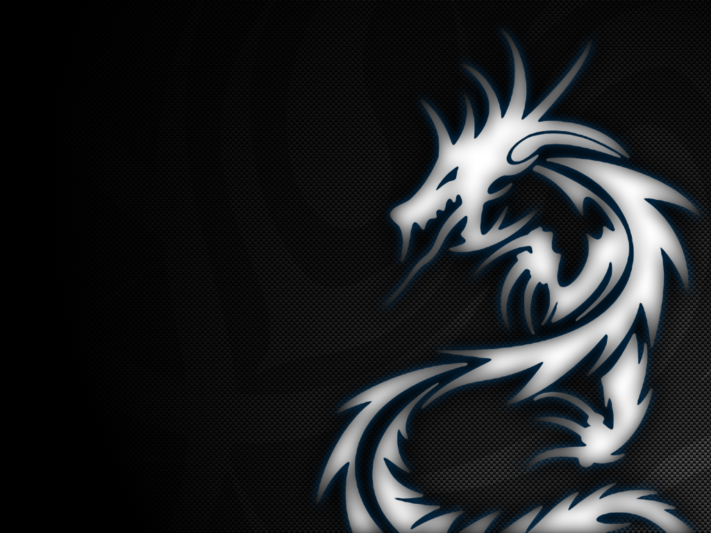 White Dragon Wallpaper Image