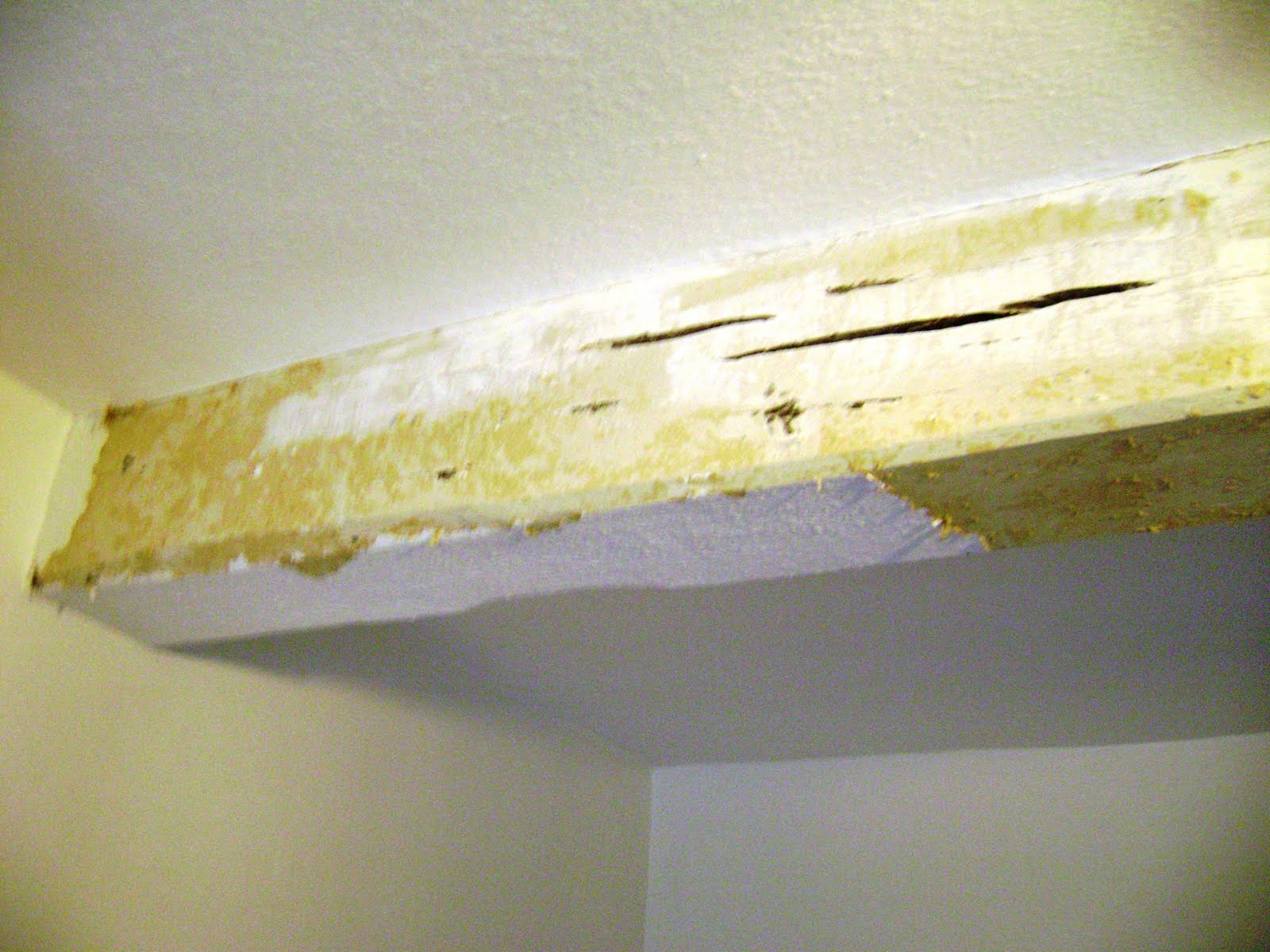  been covered with a skim coat of plaster and wallpaper to hid them