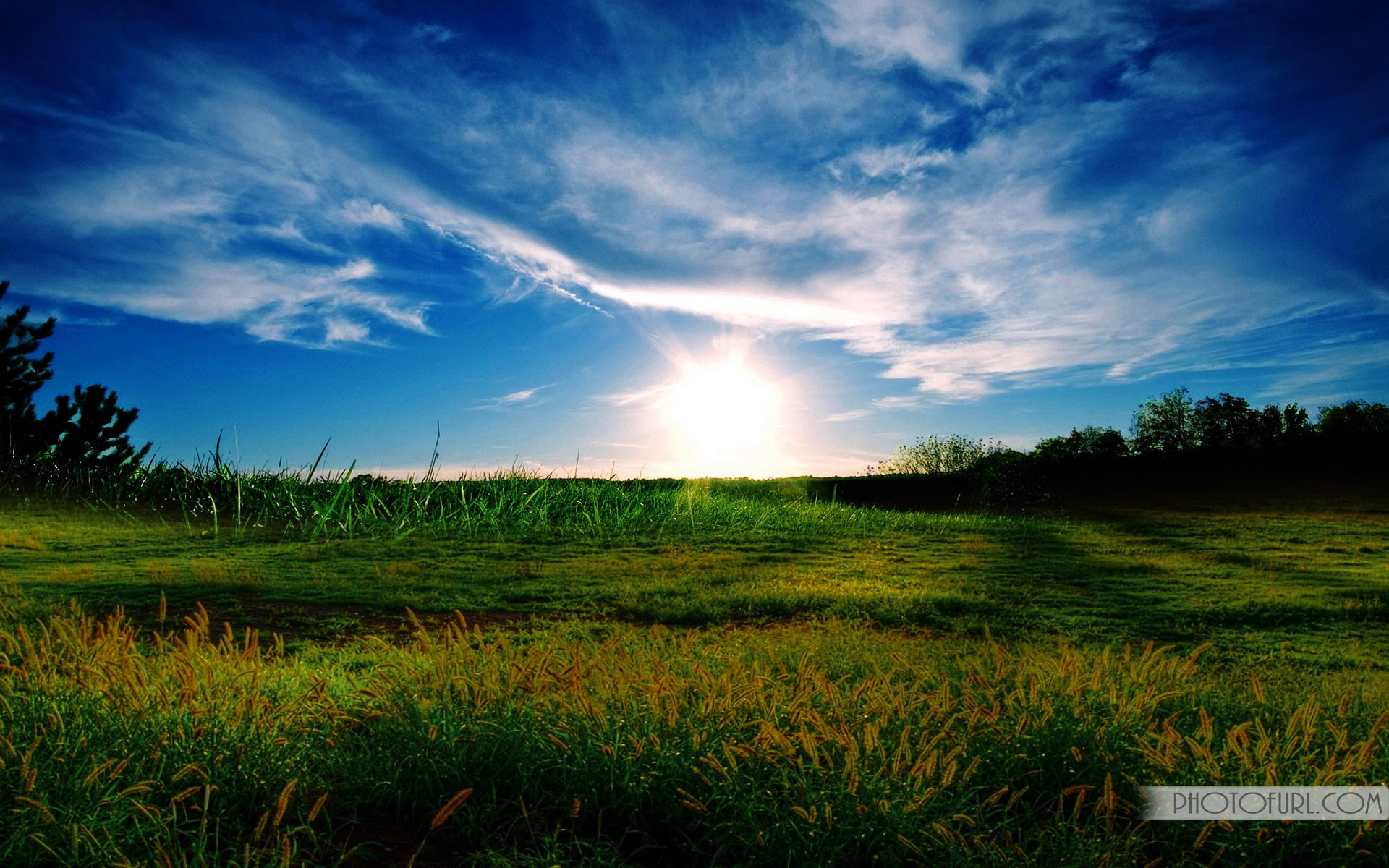 Scenic Windows Wallpaper: Sunset over a Green Field