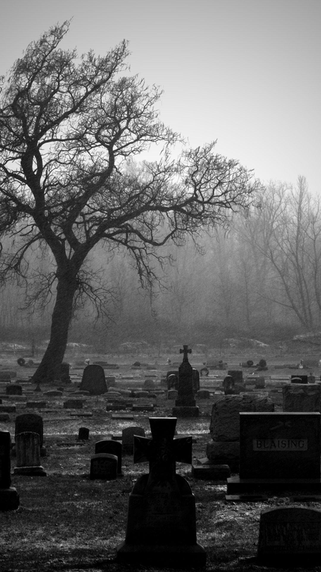 Cemetery Live Wallpaper for Android   APK Download
