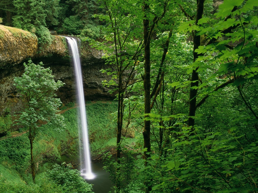 Beautiful Forest Landscape Waterfall Wallpaper 8635