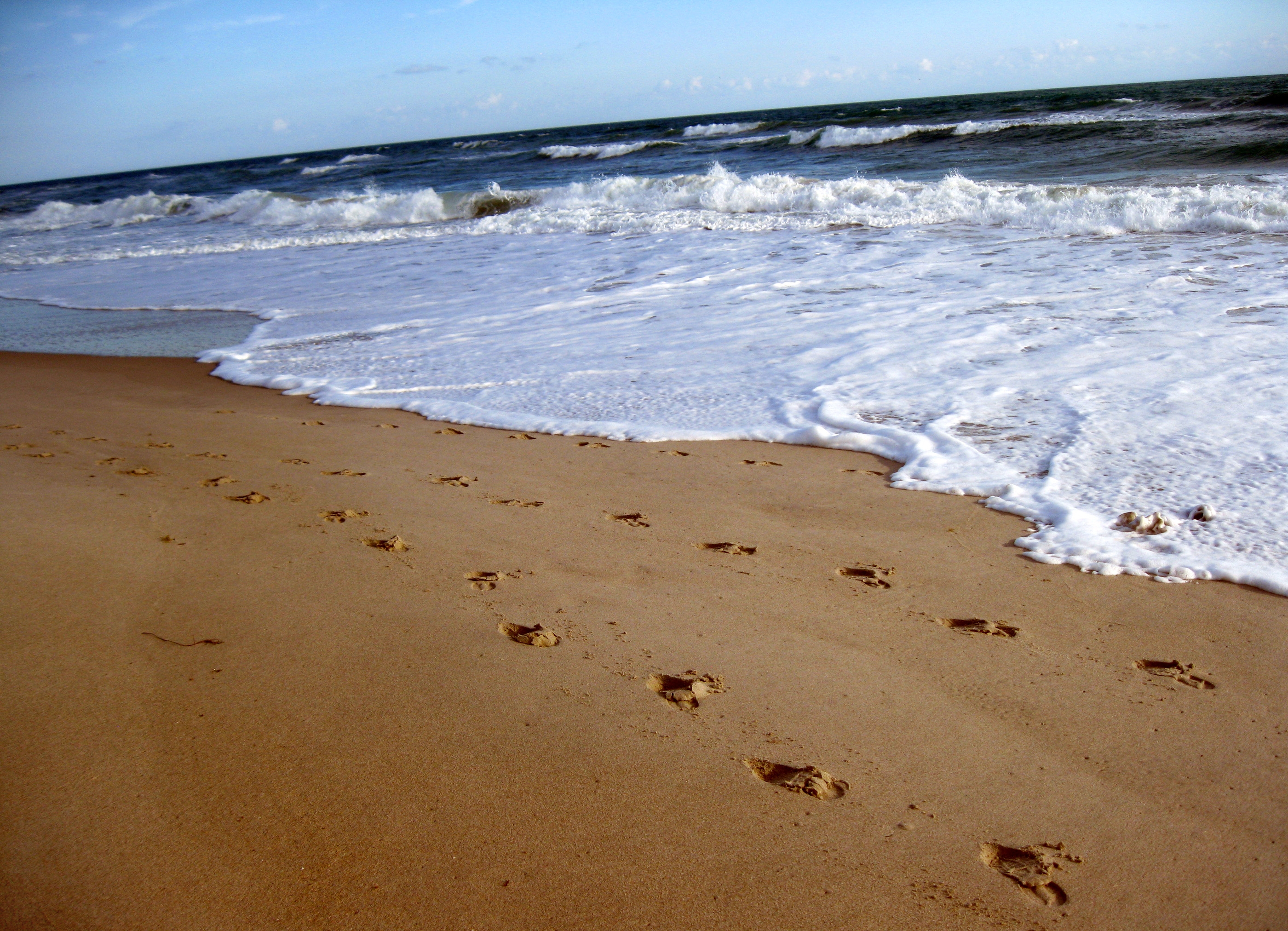 Beach wallpapers Sand Beach Footprints wallpaper
