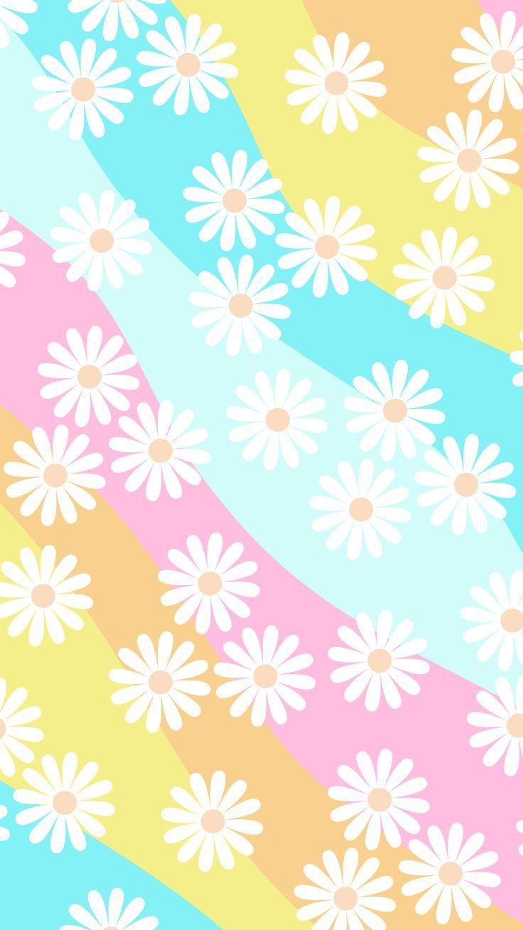 Phone Wallpaper Background Bright Pastel Daisy Design
