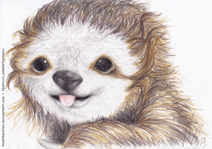 Cheeky Sloth By Teufelskatze