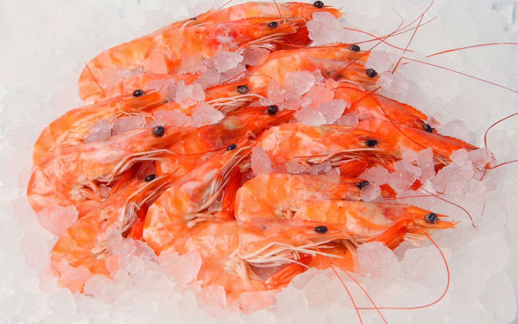 Shrimp Seafood Ice Wallpaper