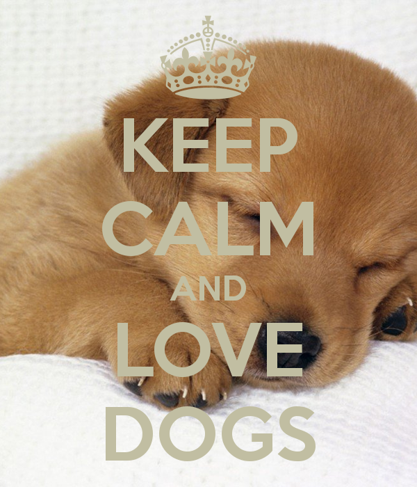 I Love Dogs Wallpaper - WallpaperSafari