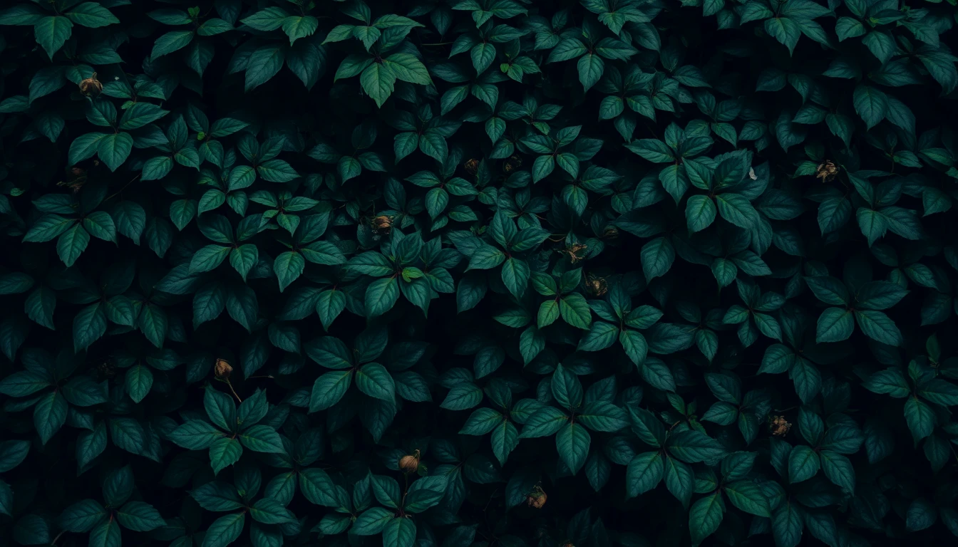 Best Dark Green Wallpaper
