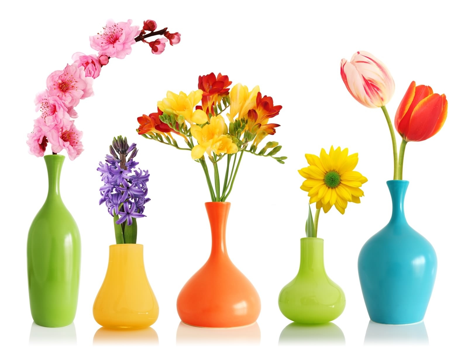 Colorful Flowers Vases Wallpaper