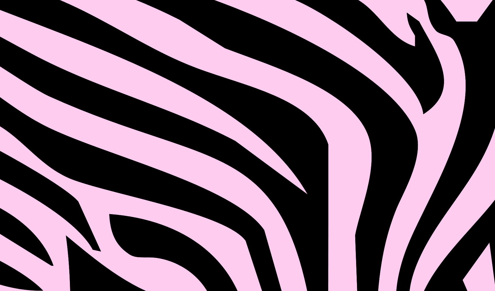 Neon Pink Zebra Print Wallpaper Desktop