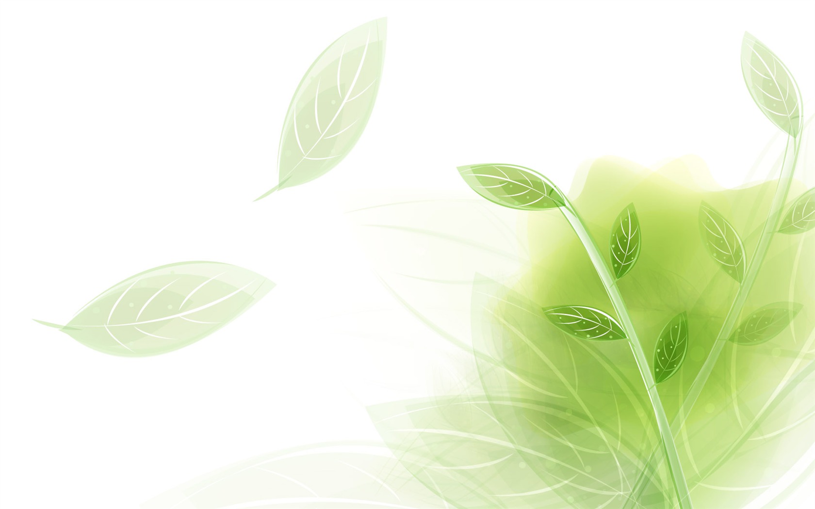 Bright Color Wallpaper