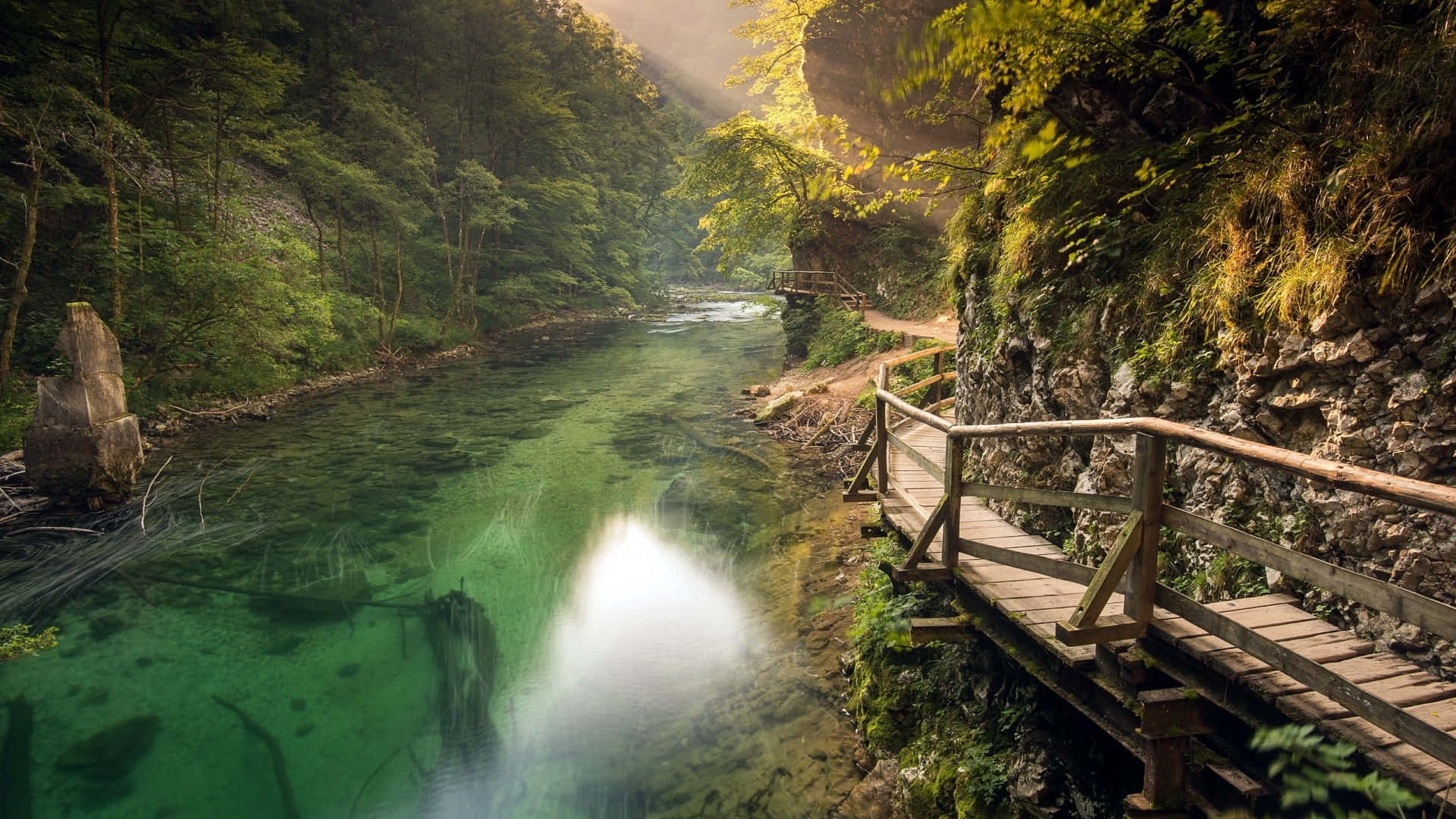 Green And Brown Wallpaper