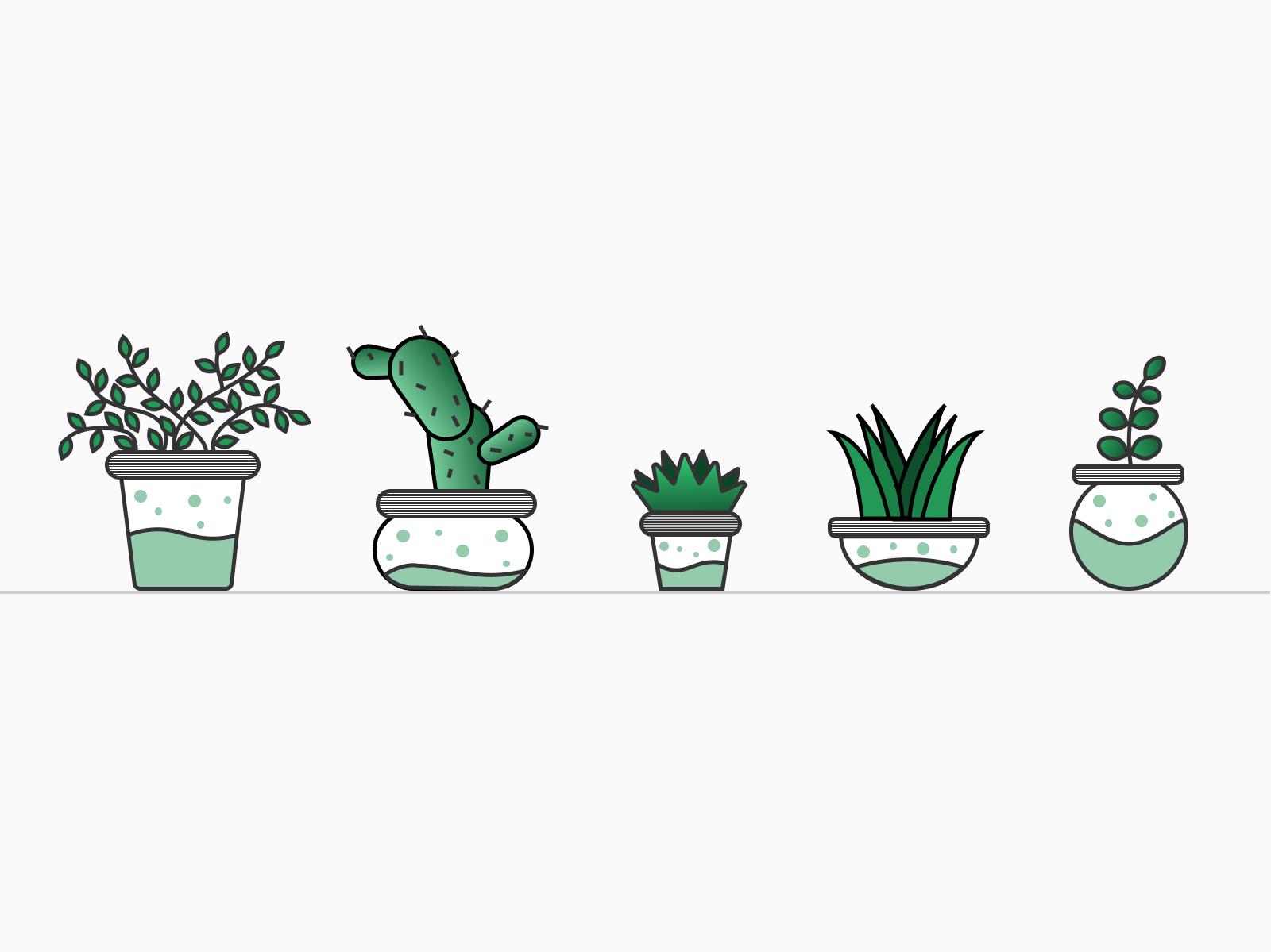 Potted Plants By Simran Mhatre On Dribbble