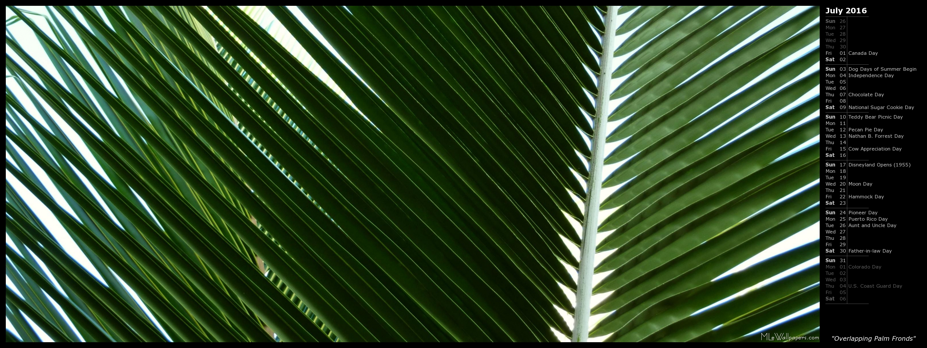 Mlewallpaper Overlapping Palm Fronds Calendar