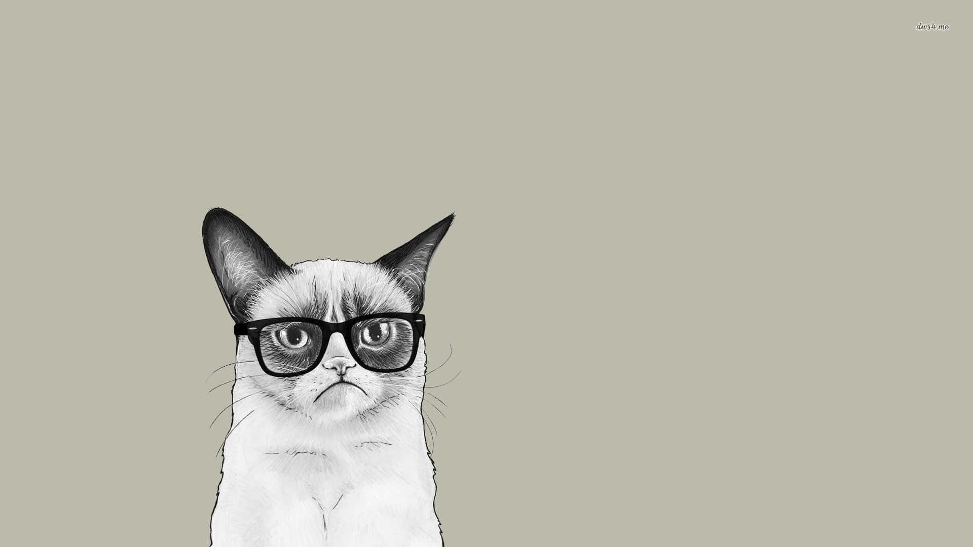 Grumpy Cat Wallpaper