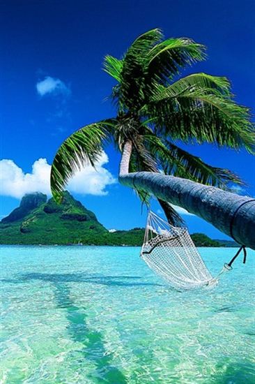 Bora Island HD Wallpaper Photosjunction