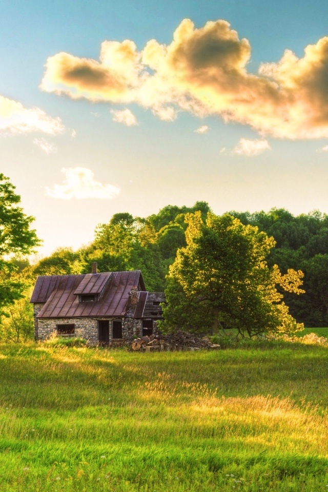 Cottage In The Woods iPhone HD Wallpaper