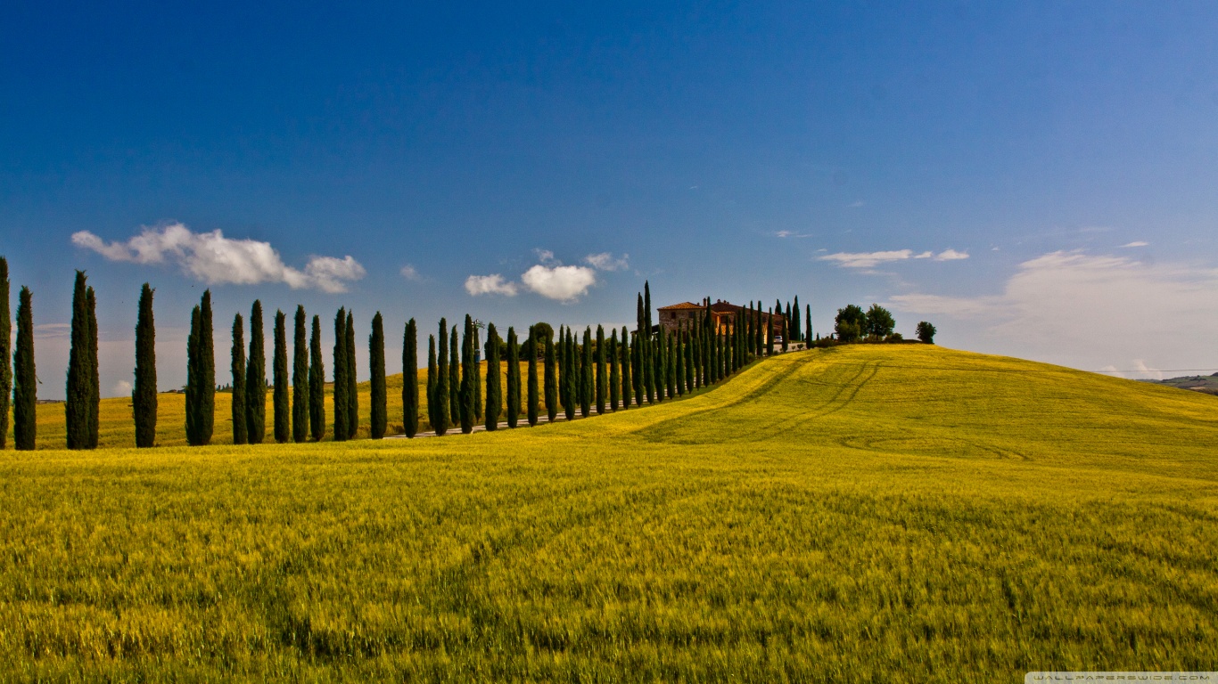 Italian Countryside Wallpaper