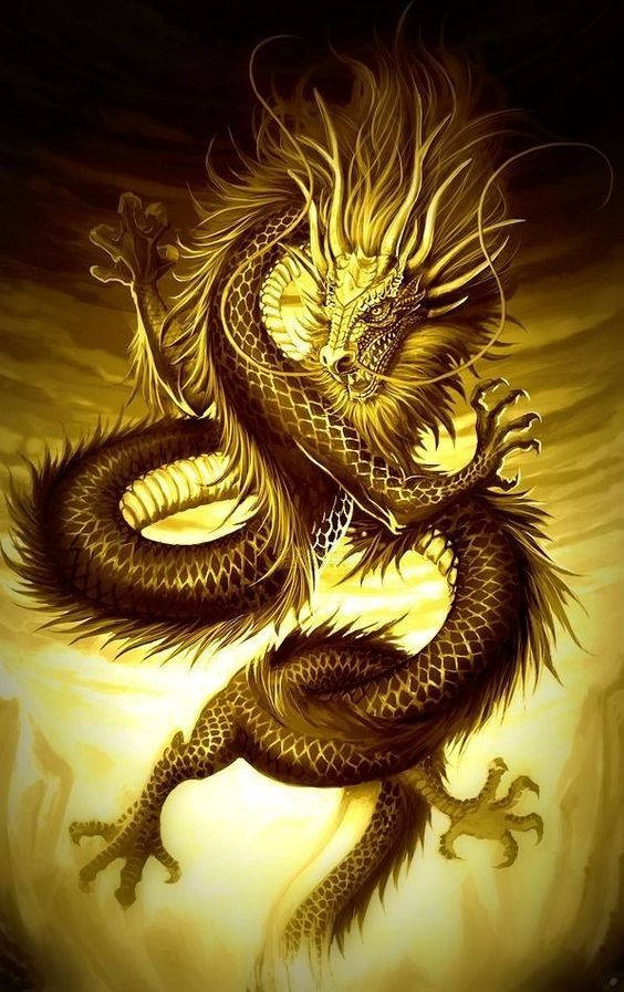 Gold Dragons Wallpaper
