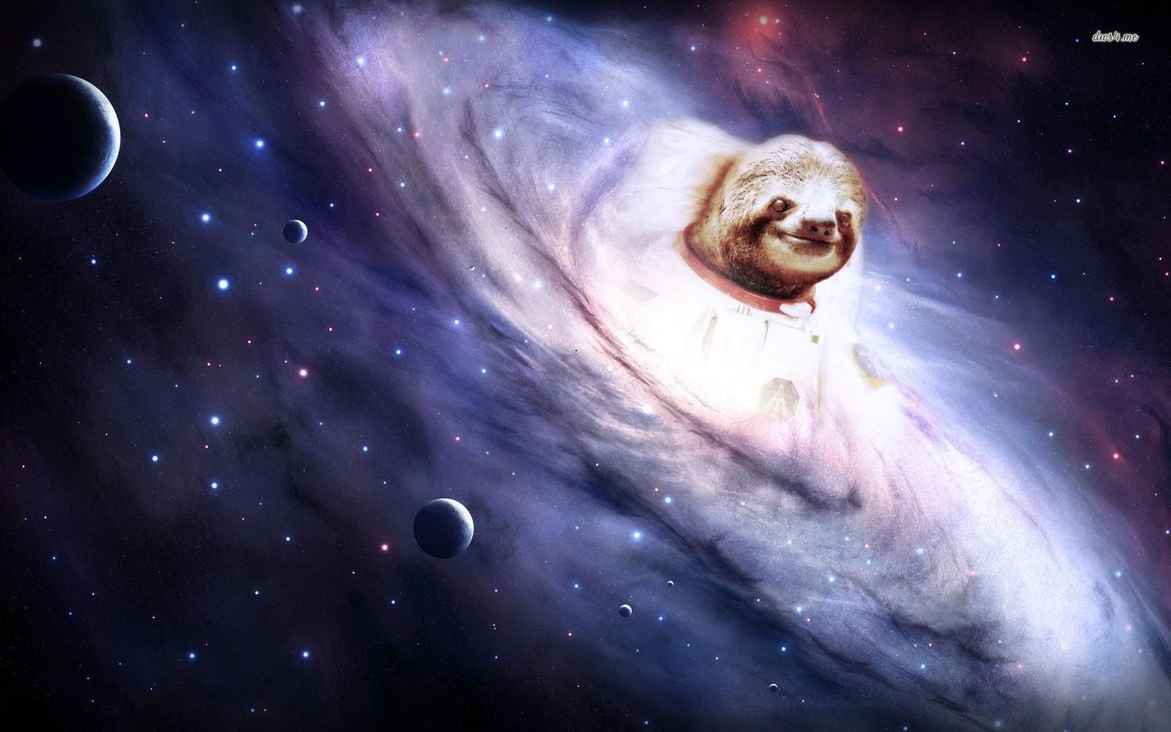 Sloth Emerging From The Galaxt Wallpaper