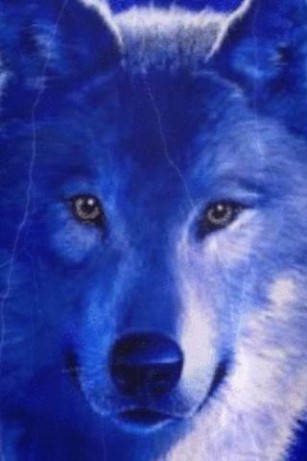 Wolf Face Live Wallpaper App For Android By Manum