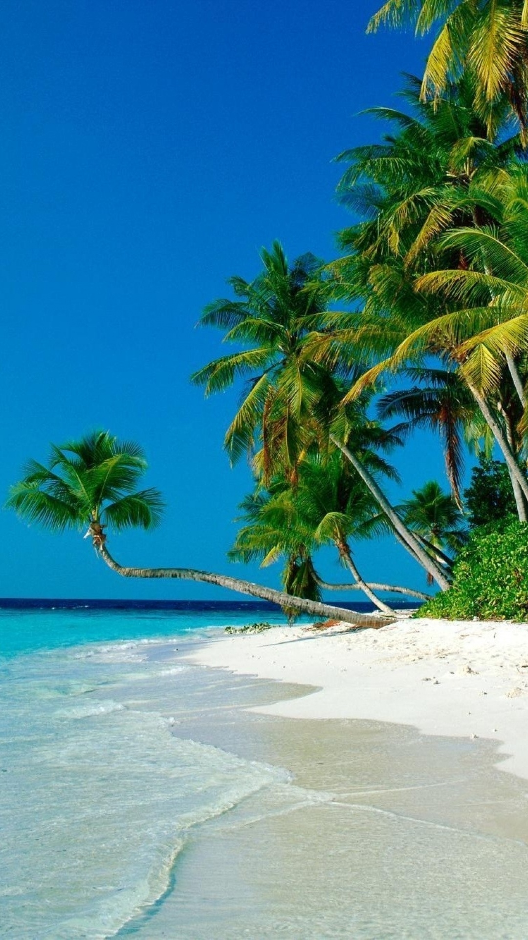 Ocean Palm Trees Shore Beach Galaxy S4 Wallpaper