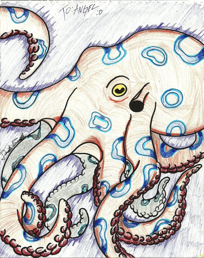Find more Blue Ringed Octopus Wallpaper Blue. 