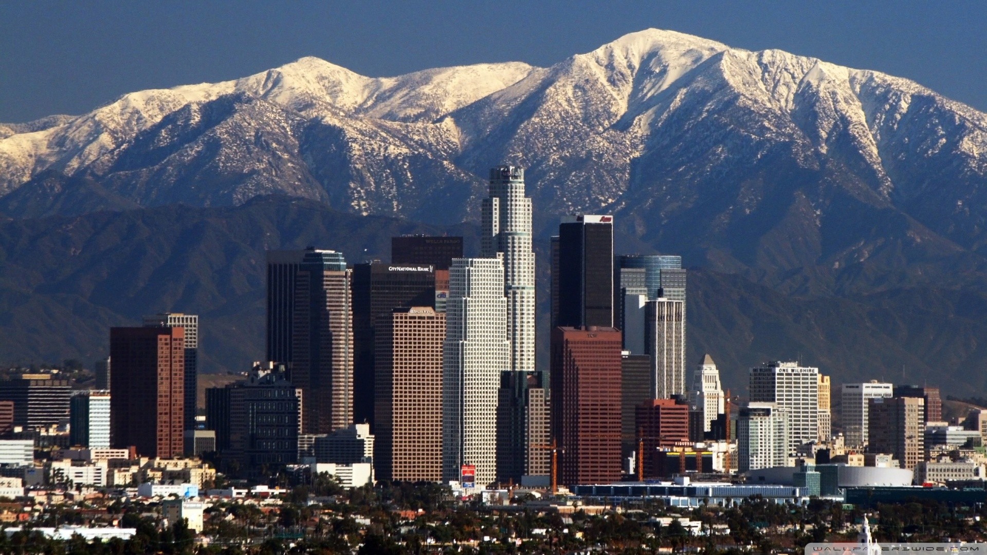 Los Angeles City Mountains Buildings Wallpaper HD Mirapic