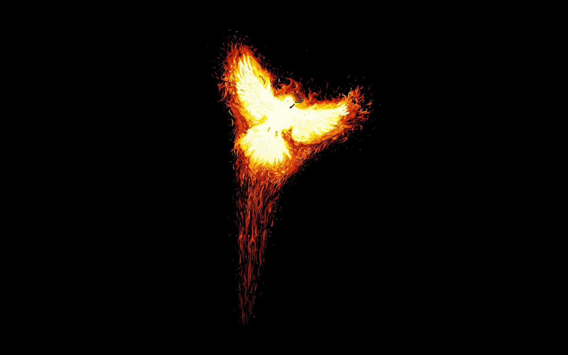 Free download Phoenix Bird Wallpapers Free Download [1920x1200] for your  Desktop, Mobile & Tablet | Explore 71+ Phoenix Bird Wallpaper | Phoenix  Wright Wallpapers, Phoenix Wright Wallpaper, Dark Phoenix Wallpaper