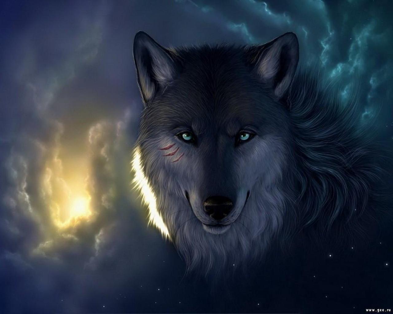 In The Wild Wallpaper Wolf Background