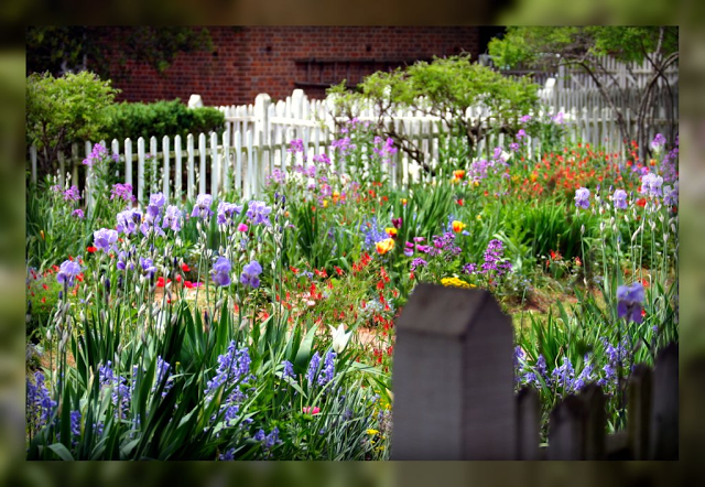 Living In Williamsburg Virginia Flower Garden Colonial