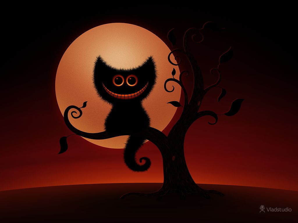 A Cheshire Kitten Halloween Night Desktop Wallpaper