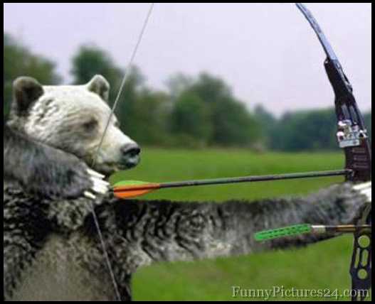 Bear Archery Wallpaper