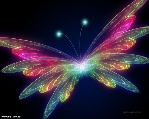 The Fun Starts Here Cool Electric Butterfly HD Wallpaper