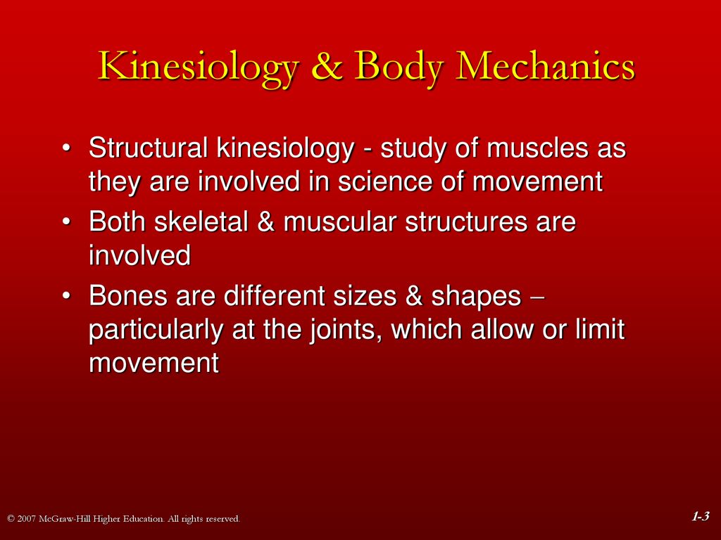 Chapter Foundations Of Structural Kinesiology Ppt