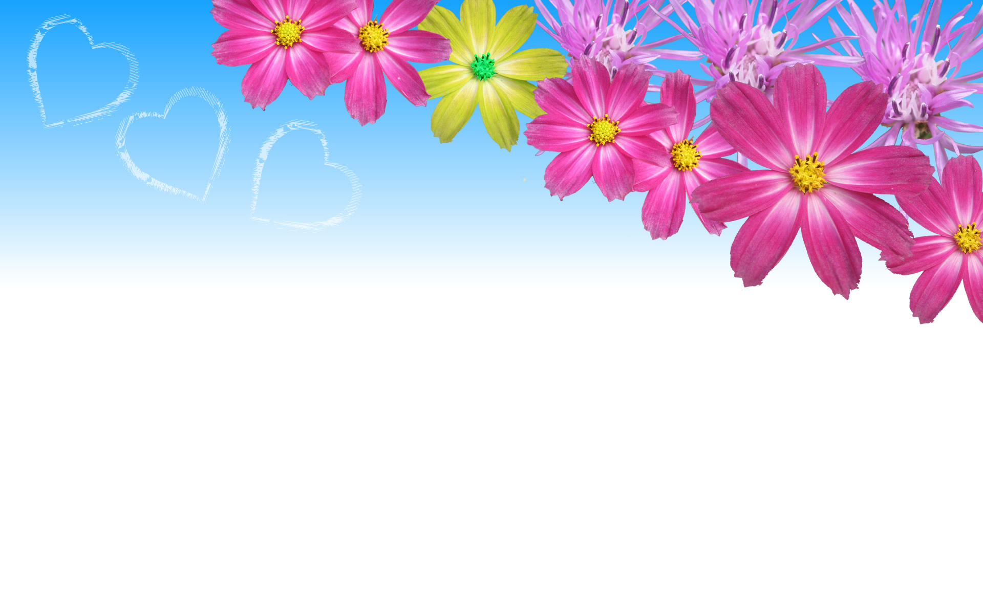 Flower Power Wallpaper HD Desktop