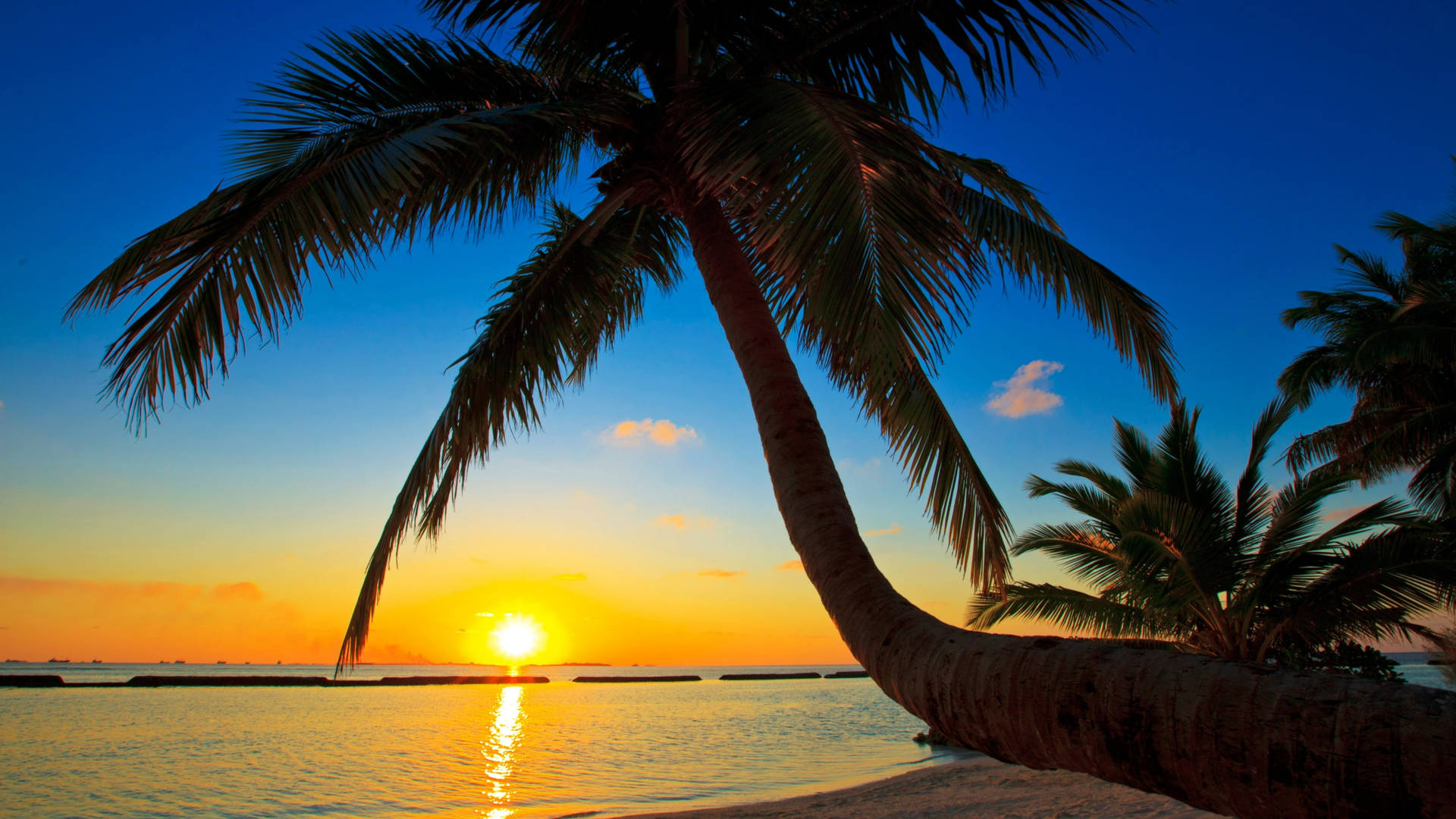 Maldives Golden Sunset 91qbzi33r57cvryo Wallpaper
