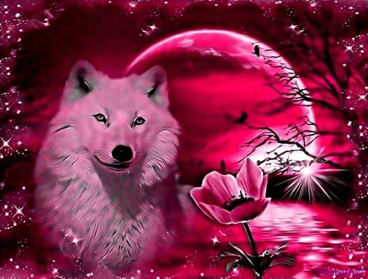 Cool Wolf Pic Mystical Mythical Animals Wild