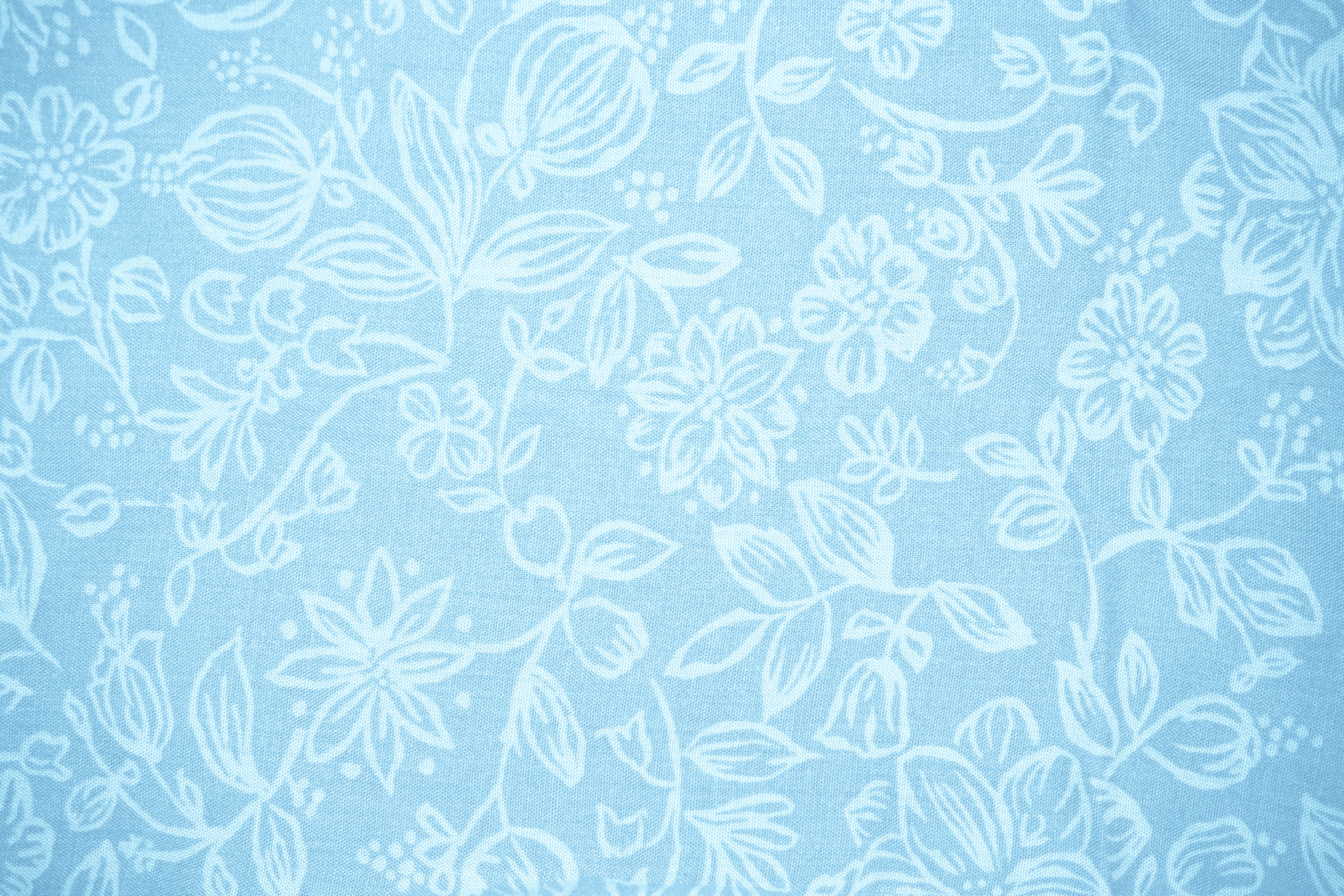 Baby Blue Fabric with Floral Pattern Texture Picture Free Photograph