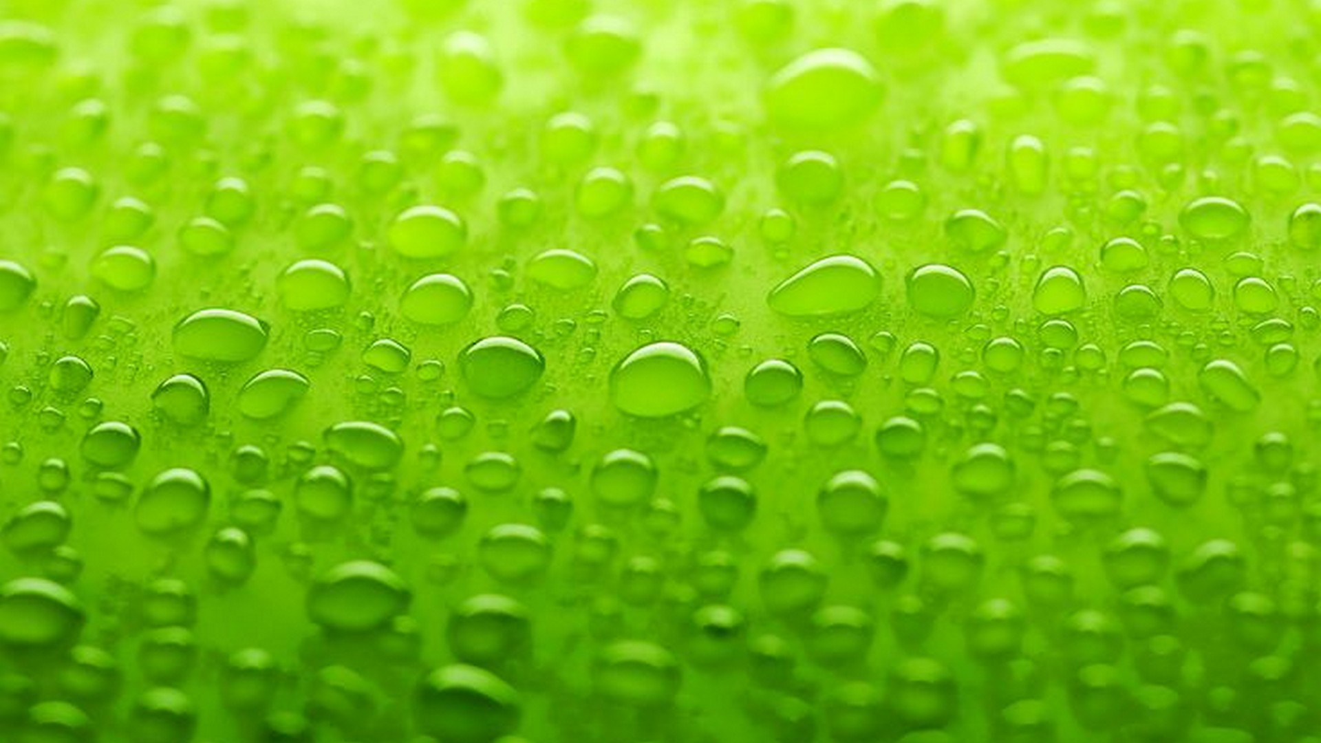 Lime Green Wallpaper HD