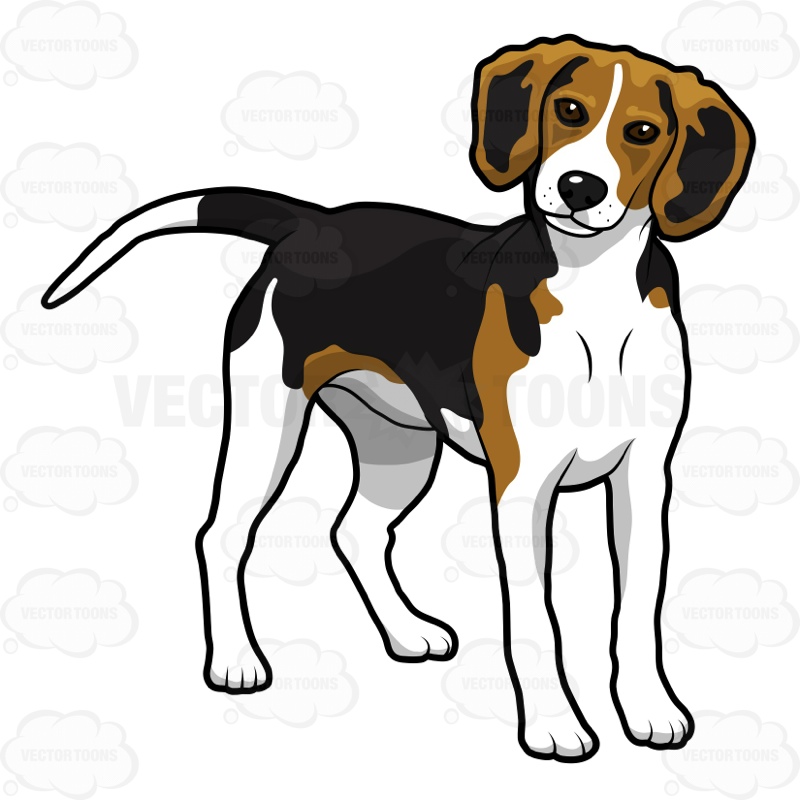 Beagle Wallpaper That is Animated WallpaperSafari