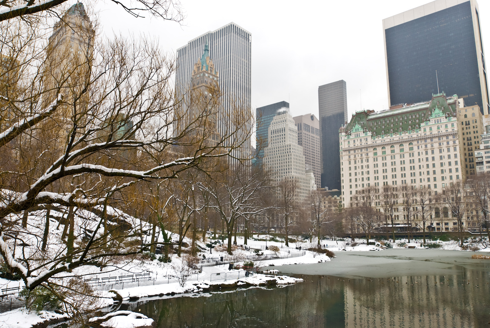New York Image Central Park In Winter HD Wallpaper And