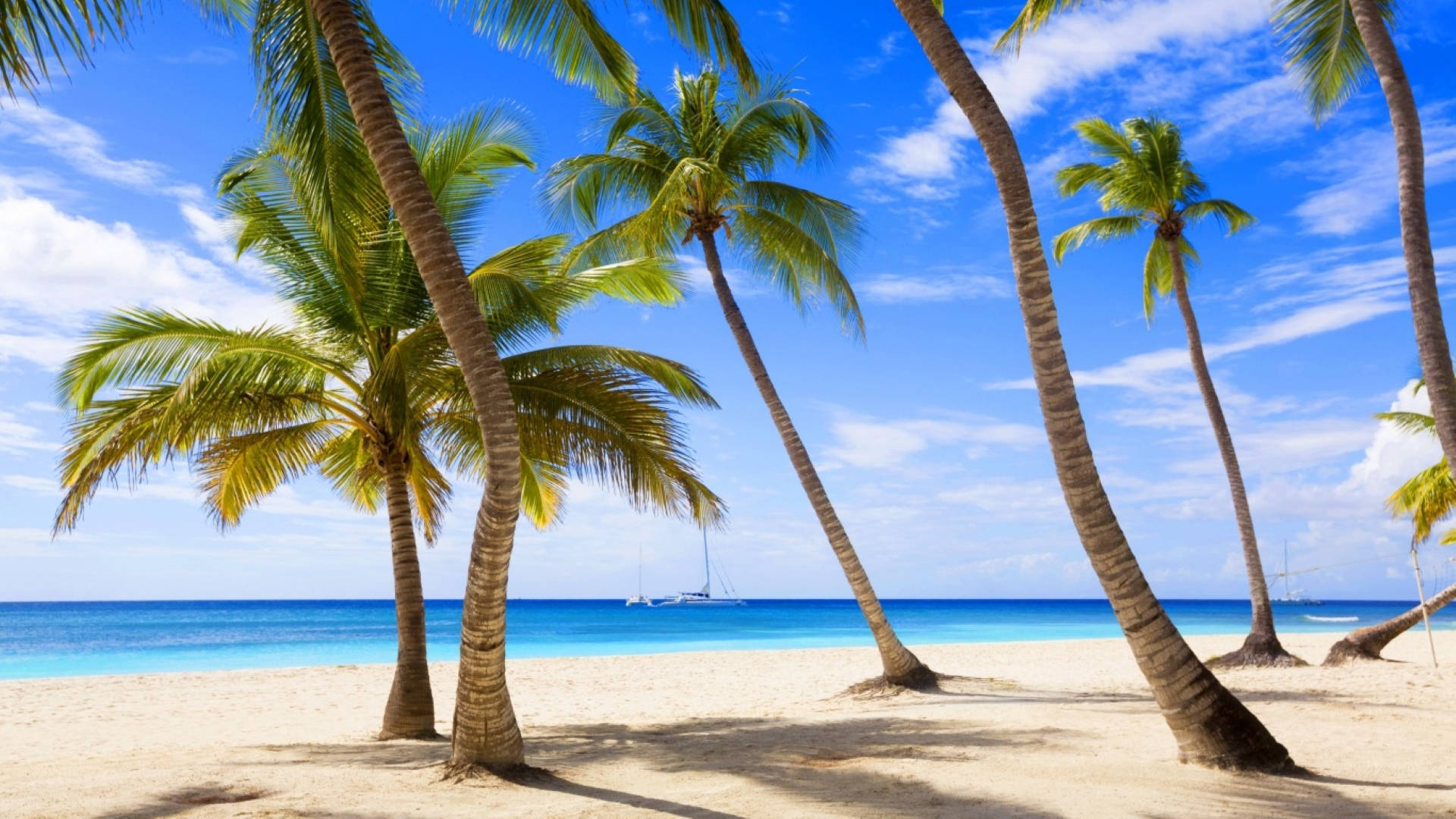 Top White Beach Wallpaper Full HD 4k To Use
